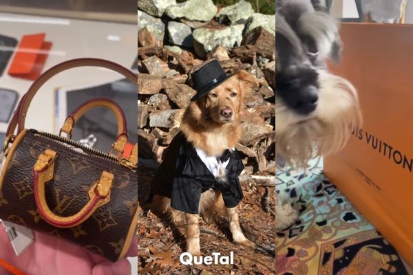 Louis Vuitton lanza bolsa para recoger popis de perritos por solo 900 dólares